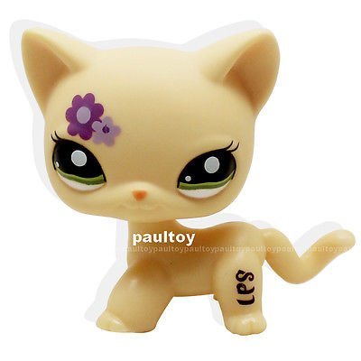 LHJ Littlest Pet Shop RARE Short Hair Cat kitty Yellow Purple Flowers LPS  Toy #1962