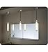Robern CB-UFLPAL Uplift Medicine Cabinet Pendant Light
