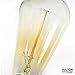 6-Pack Vintage Edison Light Bulbs, 40W E26/E27 Base Dimmable Replacement Vintage Incandescent Light Bulbs, Antique Squirrel Cage Lights, 110V, Pendant Ceiling Chandelier Antique Exposed Filament, HOM