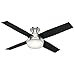 Hunter Fan Company 59241 Hunter Dempsey Indoor Low Profile Ceiling Fan with LED Light and Remote Control, 52