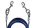 Tie Out Cable for Dogs, 10 ft, Blue
