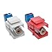 Tripp Lite RCA Female Audio to Screw Terminal Keystone Jack Kit Red/White (A050-000-ST-KJ) Blue