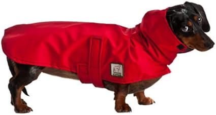 weiner dog raincoat