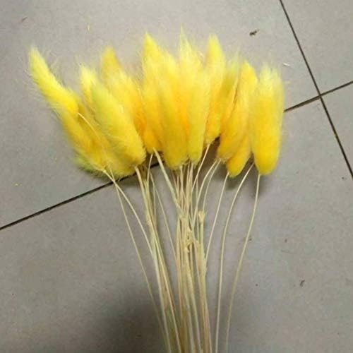 WEISY 30PCS Natural Rabbit Tail Grass Dried Household Flower Decorations Festive Party Supplies