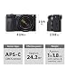 Sony Alpha A6600 Mirrorless Camera with 18-135mm Zoom Lens (Renewed)thumb 4
