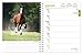 Horse Lovers 2020 6 x 7.75 Inch Weekly Engagement Calendar, Animals Horses