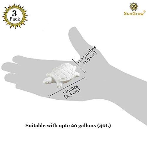 Turtle Water Conditioner by SunGrow – Protects Turtles, Amphibians & Reptile Pets from Salmonella - Contains Calcium for turtle Shell Development - One Block Sufficient for 60 Days
