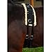 Surcingle w/Fleece Padding