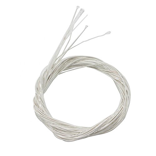 Oud Strings, Nylon Silver Plated Copper Alloy Clear Normal Tension Oud Strings Set Replacement Accessory (10 strings)