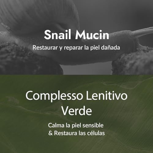 [Mizon] Creme Reparador com Slime de Caracol (75g) hidratante facial com extrato de mucina de caracol, creme de recuperação, cosmético coreano tudo-em-um, cuidados contra rugas e imperfeições