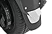 Show Chrome Accessories 41-166 Rear Mud Flap Accent