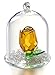 H&D Crystal Enchanted Rose Flower Figurine Dreams Ornament in a Glass Dome Gifts for her (Yellow)