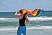 RainbowCapes Gay Pride Rainbow Flag Cape Costume