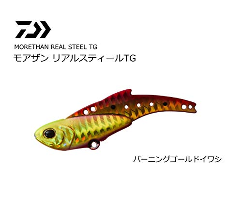ダイワ(DAIWA) ルアー モアザン リアルスティール TG 40g バーニングゴールドイワシの商品画像