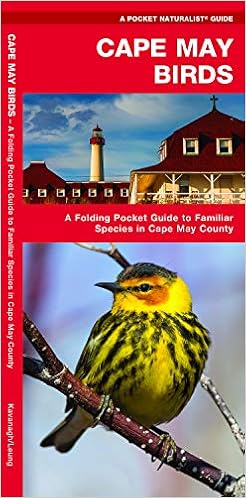 Cape May Birds A Folding Pocket Guide To Familiar Species - 