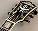 Washburn Hb36k Spruce Flame Maple Vintage Hollowbody Electric Guitar