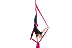 DASKING Aerial Silks Starter Kit - Durable 11Yards of Aerial Yoga Hammock with Hardware, Aerial Swing for Acrobatic Flying Yoga & All Levels (Aerial Rigging Point Up to 14ft)