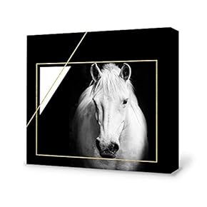 Black and White Horse Home Artwork for Living Room Bedroom