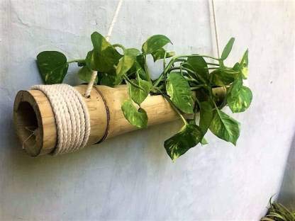 Ecopal Bamboo Planter with Adjustable Rope , 1 Piece
