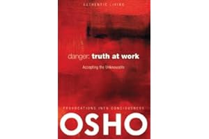Danger: Truth at Work: The Courage to Accept the Unknowable (Authentic Living)
