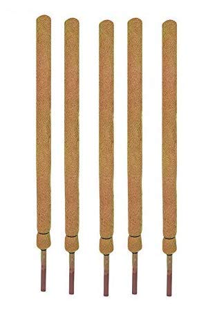 COIR GARDEN Coco Pole Moss Stick for Climbing Money Plant, Indoor and Outdoor Plants, Housing Plants Support , 3 ft/91 cm, Brown - Set of 5 Pieces