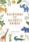 Livro As Aventuras do Alfabeto Animal