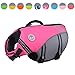 VIVAGLORY Sports Style Dog Life Vest, Dog Life Jacket for Swimming & Boating, Ripstop & Buoyancy for Puppy Doggy, Lifejacket with Handle, M, Pink