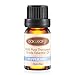 Peppermint Essential Oil, Oak Leaf 100% Pure Therapeutic Grade Aromatherapy Essential Oils Scented Oil, 10mL