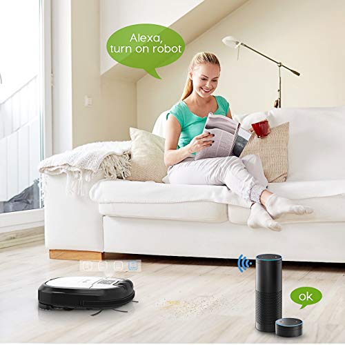 HoLife Robot Vacuum Cleaner Automatic Charge Schedule Cleaning Auto-Detection Vacuum Cleaner with Built in Camera, APP, Alexa, Remote Control for Pet Hair Hard Floor & Carpets (Grey)