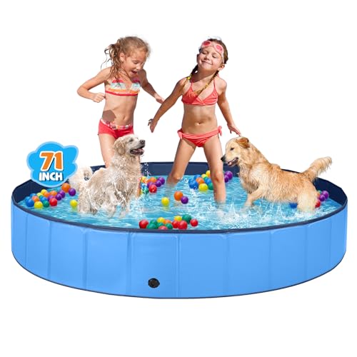 Jecoo Dog Pool