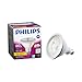 Philips LED Indoor/Outdoor Dimmable PAR38 35-Degree Spot Light Bulb: 1100-Lumen, 3000-Kelvin, 12-Watt (100-Watt Equivalent), E26 Base, Bright White, 1-Pack