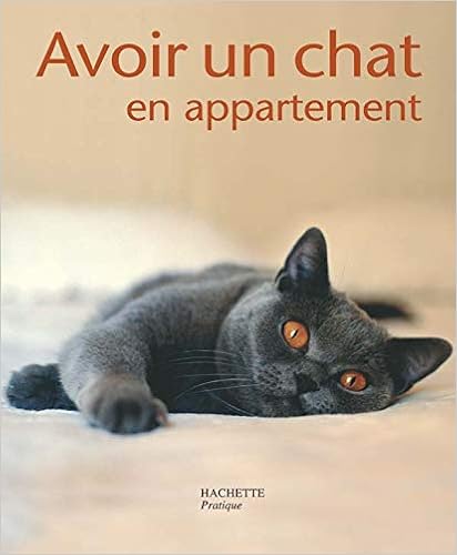 Avoir Un Chat En Appartement Behrend Katrin Amazon Com Books