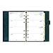 Filofax 2016 Personal Organizer, Domino Patent Pine with Spots, 6.75 x 3.75