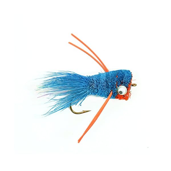 The-Fly-Fishing-Place-Bass-Bug-Collection-Set-of-12-Bass-Fly-Fishing-Flies-Surface-Poppers-Divers-and-Subsurface-Hook-Sizes-24-and-6