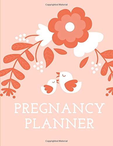 Pregnancy Planner New Due Date Journal Trimester Symptoms Organizer Planner New Mom Baby Shower Gift Baby Expecting Calendar Baby Bump Diary Keepsake Memory Familee Luv Press 9781651867815 Amazon Com Books