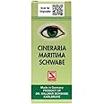 Generic Dr Willmar Schwabe Cineraria Maritima (Alcohol Free) - 10 ml (Pack of 1), White