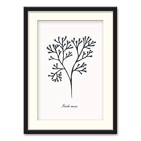 NWT Black Paper Framed Canvas Wall Art for...