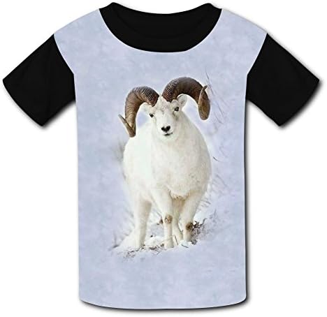 O-Neck 100% Polyester Fiber Cute Short Sleeve Top Tee Shirt For Unisex Child,Print Sheep,M
