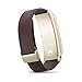 Huawei TalkBand B2 Wireless Activity Tracking Wristband + Bluetooth Earpiece (Works With UP) - Gold/Leather (U.S. Warranty)