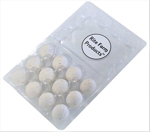 Rite Farm Products 12 Pack Speckled Ceramic Dummy Bird Quail NEST Egg Hatching Craft Nesting Dove