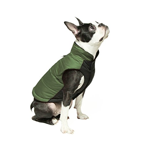 Gooby Winter Wind Breaker Dog Parka for Small Dogs, Green, Large