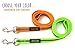 Mighty Paw Waterproof Dog Leash - Smell-Proof Pet Lead Against Dog Foot Smell - Ideal Nylon Reflective Leash for Swimming - Camping - Hiking - Reflective Safety Stripe - 6 Foot - Green