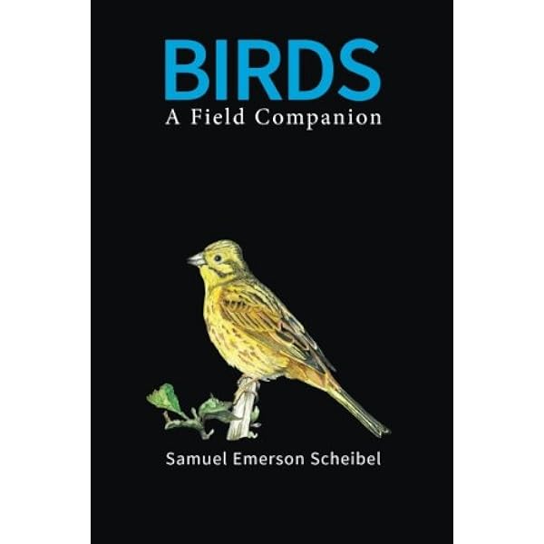 Amazon.com: Jeffrey Whiting's Owls of North America (Whiting's