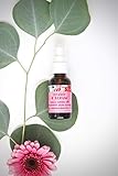 Organic Skin Care Vitamin K Serum Night Cream Packed with Phytonutrients Daily Facial Vitamin K - From Queen Bee