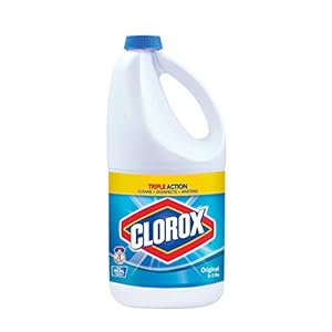 Clorox Liquid Bleach Regular, 2 L