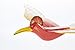 Bird Mobile Wood Carved Hand Painting Wooden Hanging Horn Bill Porch Decor Red