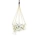 Mkono Himmeli Hanging Planter with Ceramic Plant Holder Wall Decor