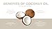 Noix de Coco Organic Coconut Oil Lip Gloss in Swipe Right. All Natural Lipgloss with Shea Butter and Vitamin E. All Natural, Vegan, Cruelty Free, Non Toxic, No Stickiness with Glossy Finish