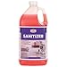Member's Mark Commercial Sanitizer (128 oz.) primary