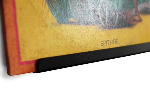 3 Hudson+Hi+Fi+Mount+Record+Display